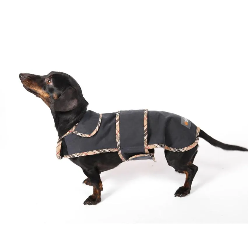 Walksters Dachshund Premium Wax Coat in Navy